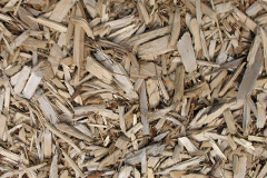 biomass boilers Gustard Wood